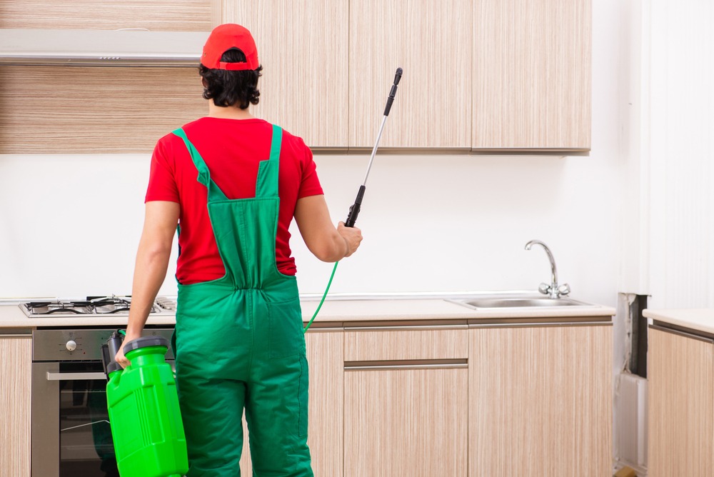 Your Path to Pest-Free Rental Properties
