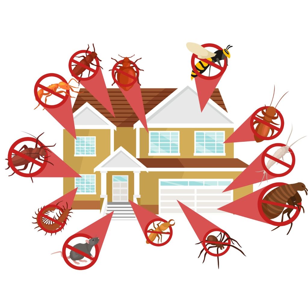 Common Pests and Responsibility Divisions in Rental Properties