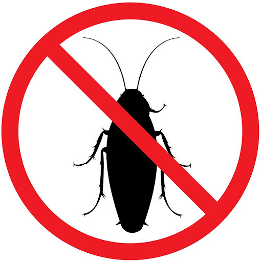 sign of cockroach infestation in restaurant