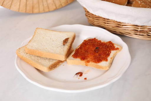 What Sign of Cockroach Infestation Might Food Workers Notice?
