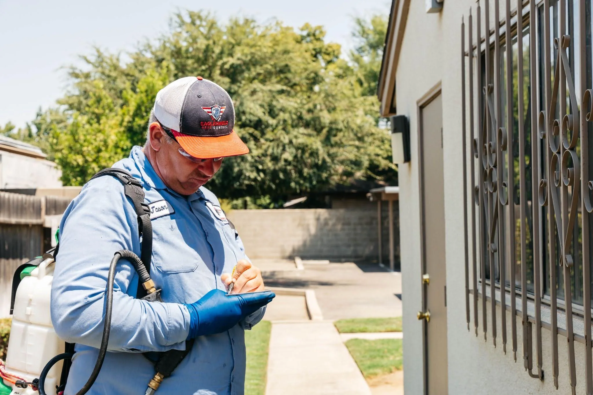 Blog 2 Termite Inspection